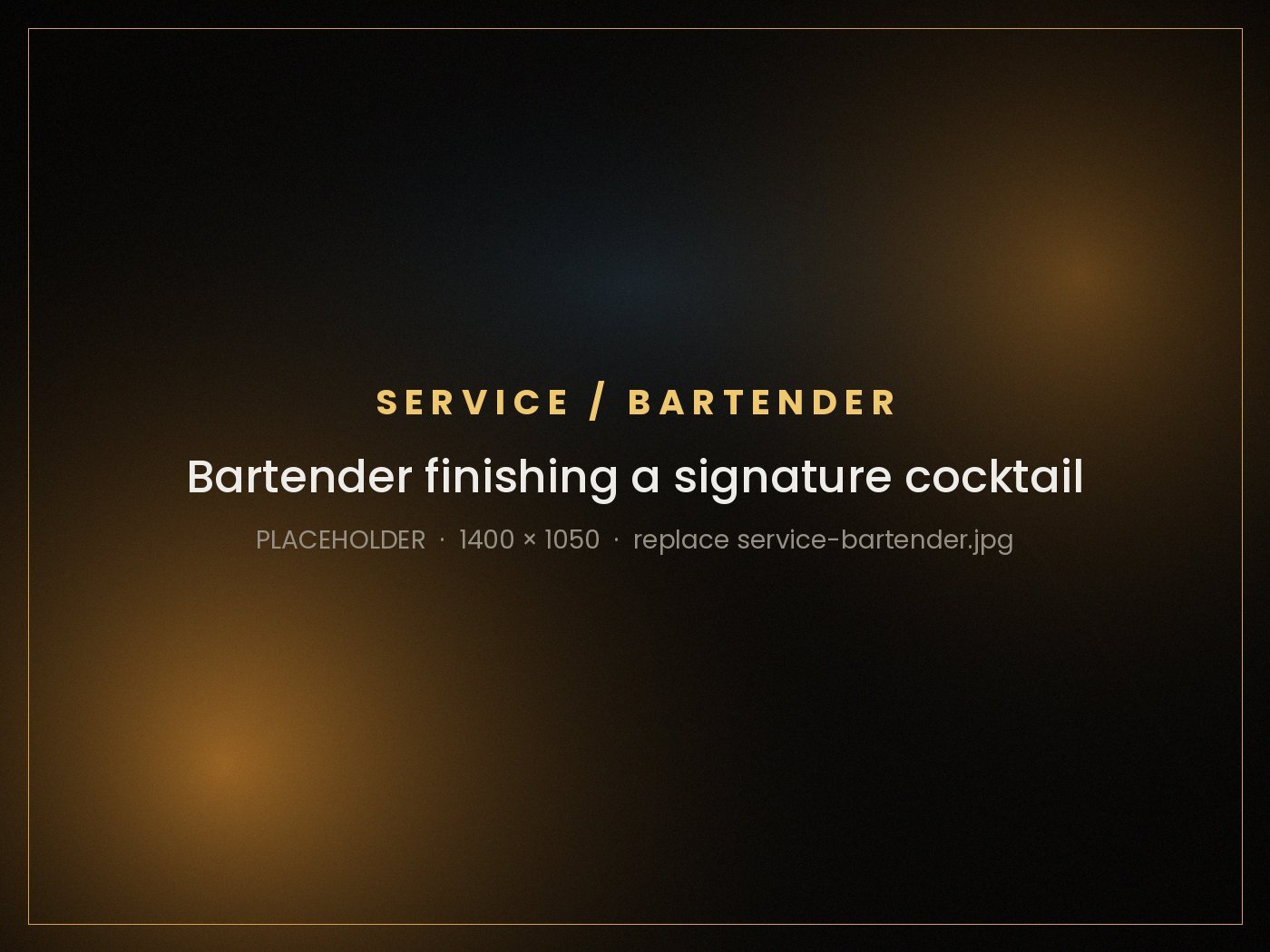 Professional Bartender Services